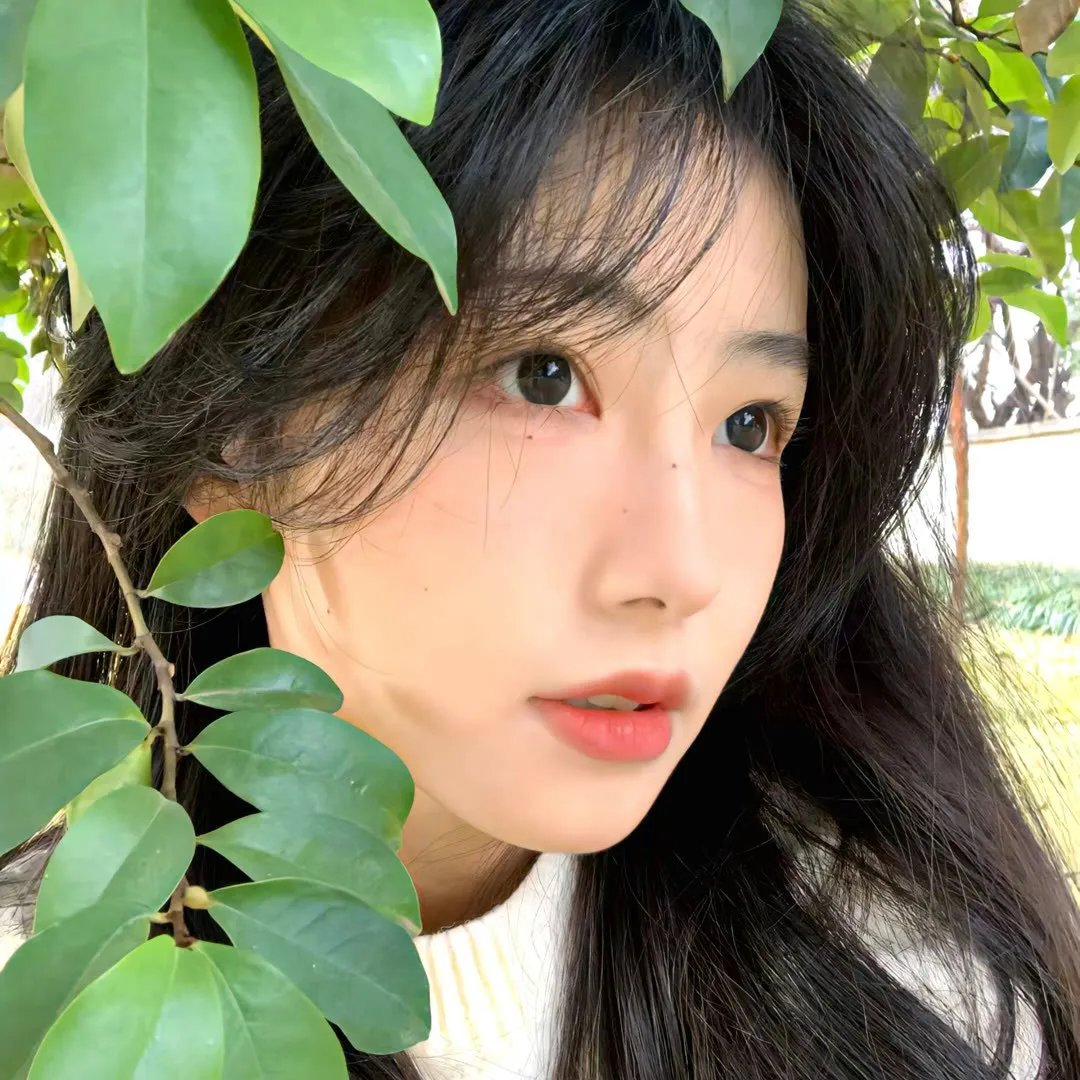 玉兰花开君再来